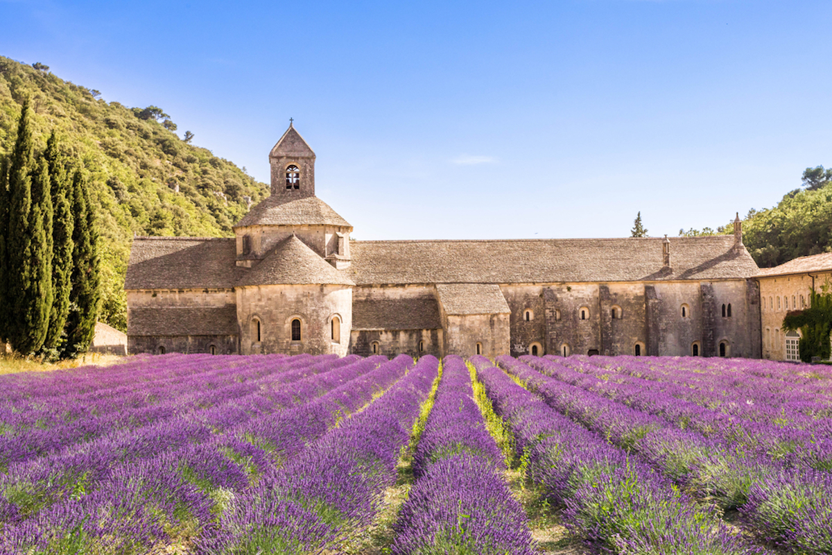 abdij van senanque lavendel
