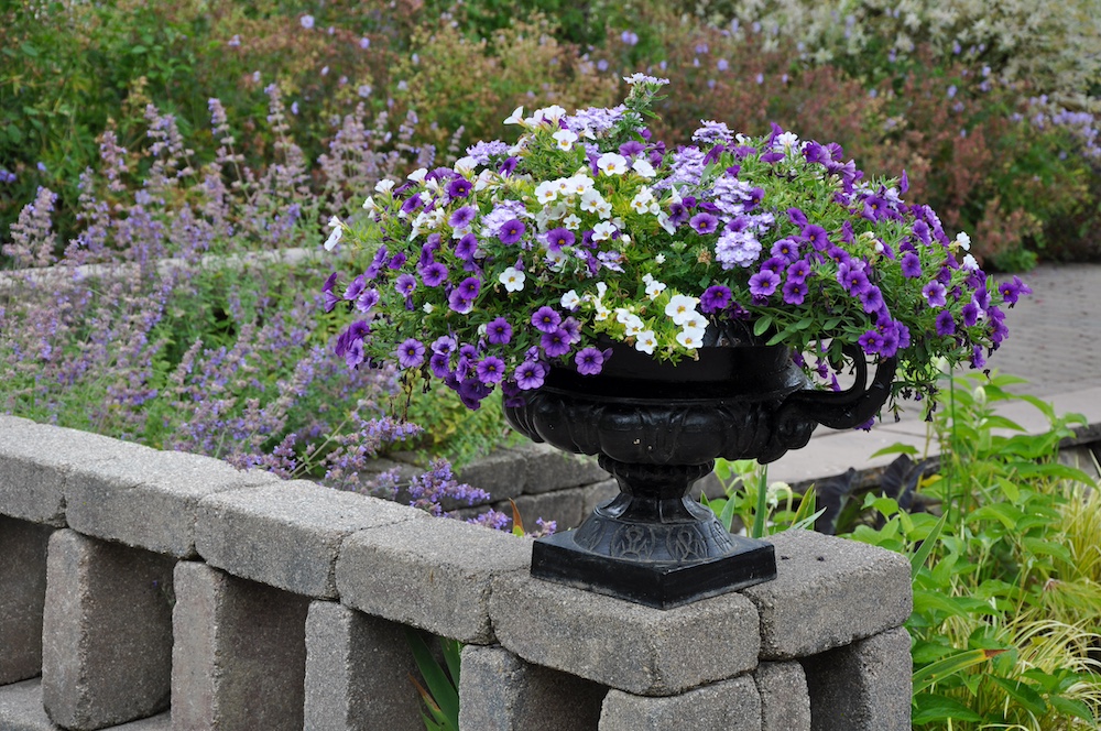 Vaas in een Franse tuin