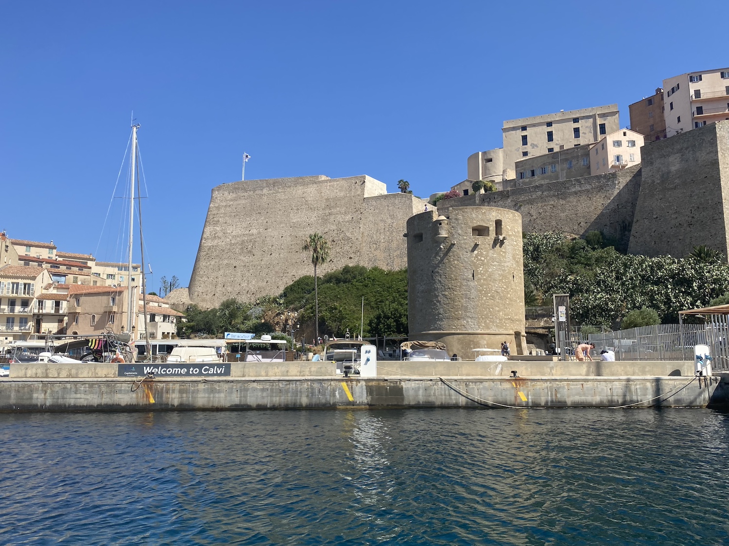 Calvi