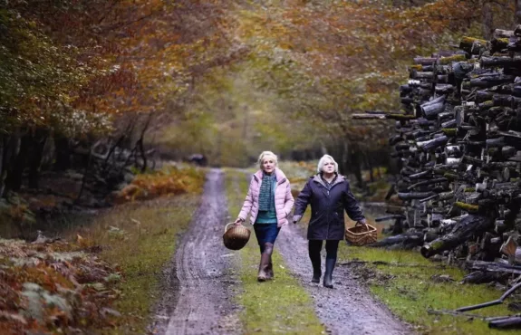 speelfilm Ozon Quand vient l'automne