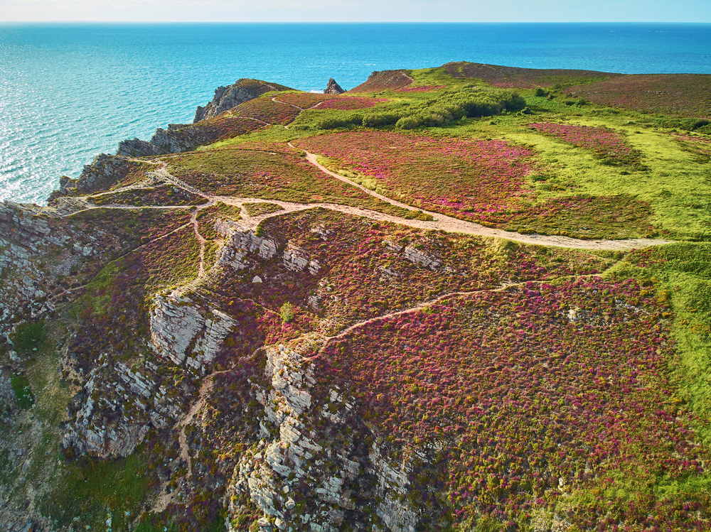 Bretagne douanierspad kust Cap d'Erquy