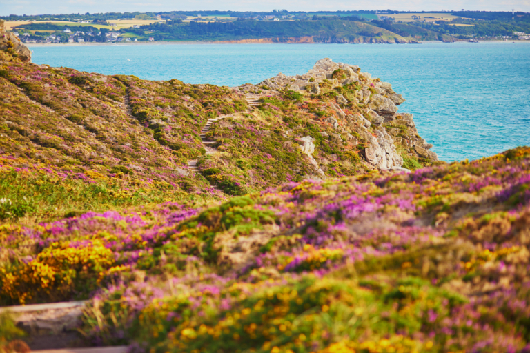 Bretagne douanierspad kust