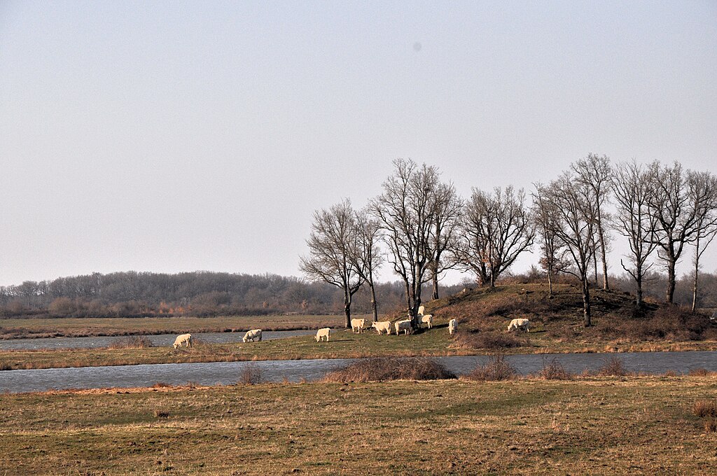 Brenne natuurgebied