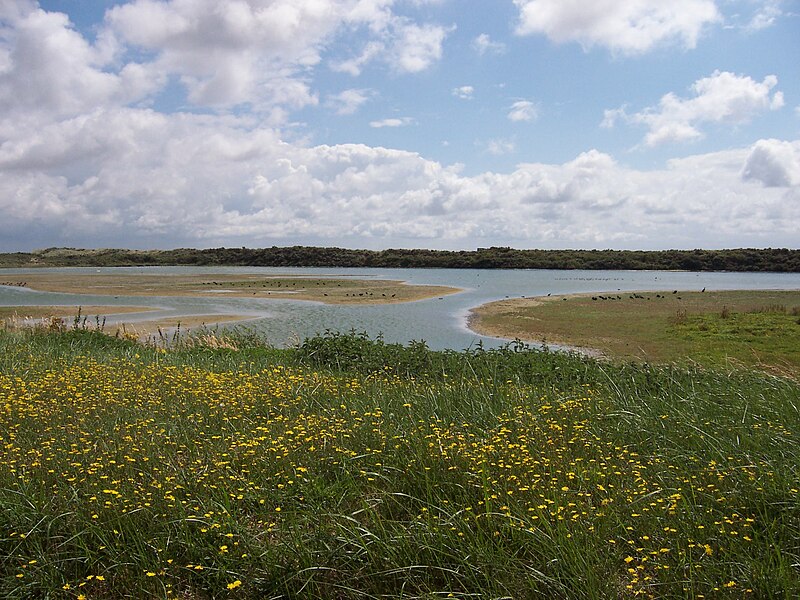 Marquenterre Baai van de Somme