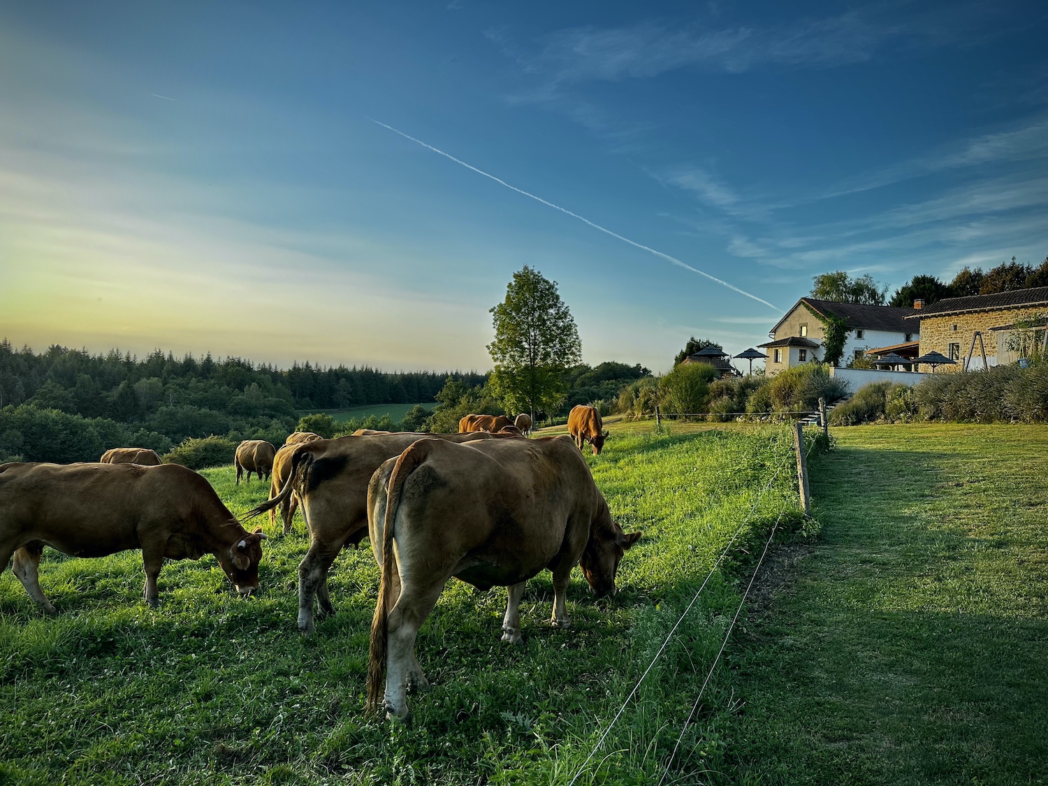 Maziéres vakantiedomein uitzicht platteland