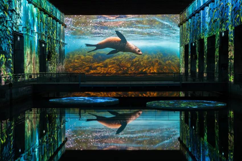 Bassin des Lumières in Bordeaux Océans