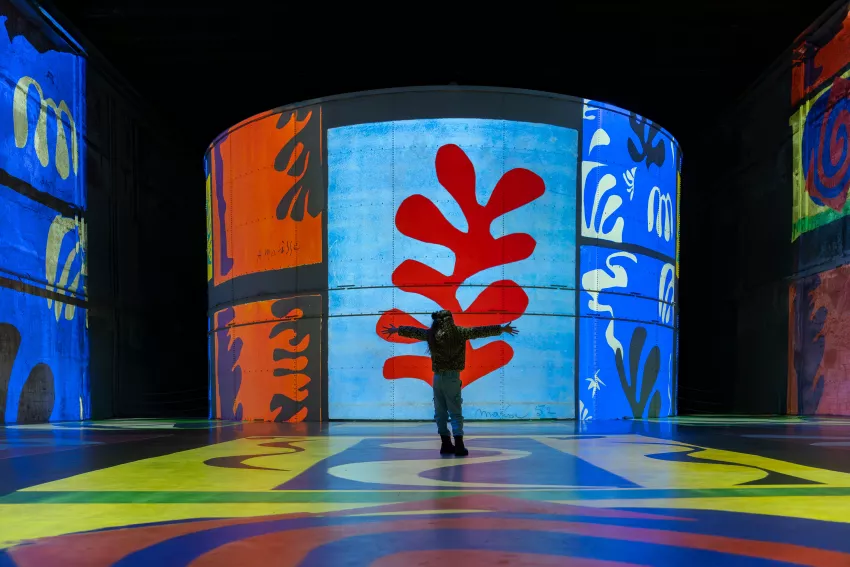 Bassin des Lumières in Bordeaux Matisse
