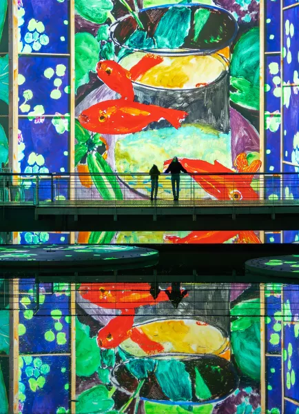 Bassin des Lumières in Bordeaux Matisse