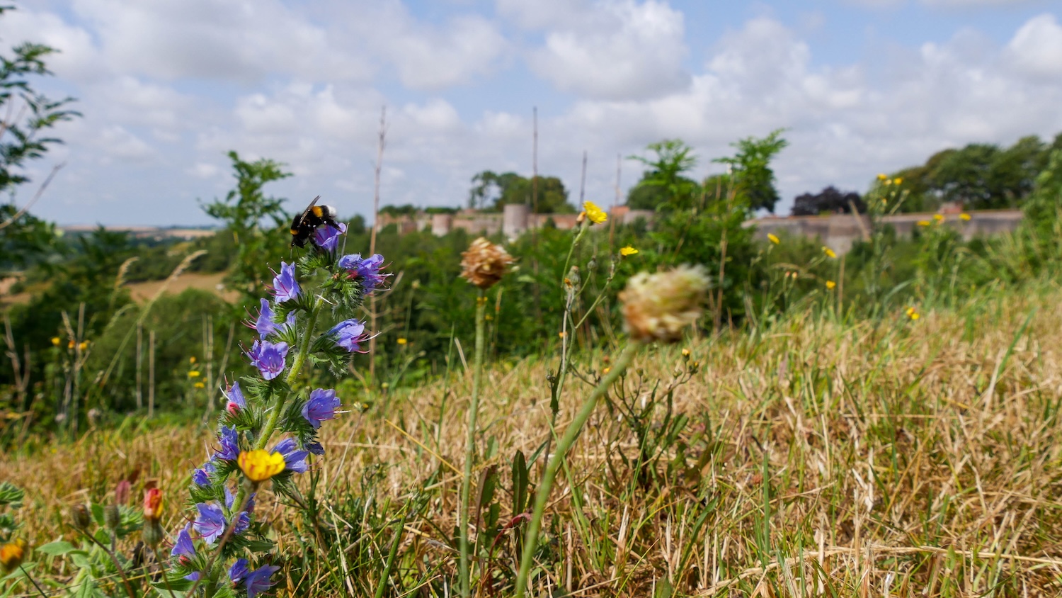 Montreuil-sur-Mer uitzicht