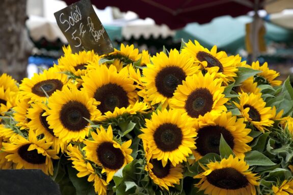 zonnebloemen Provençaalse markt