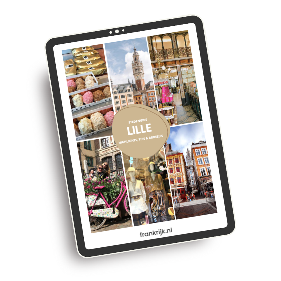 Ebook Lille 