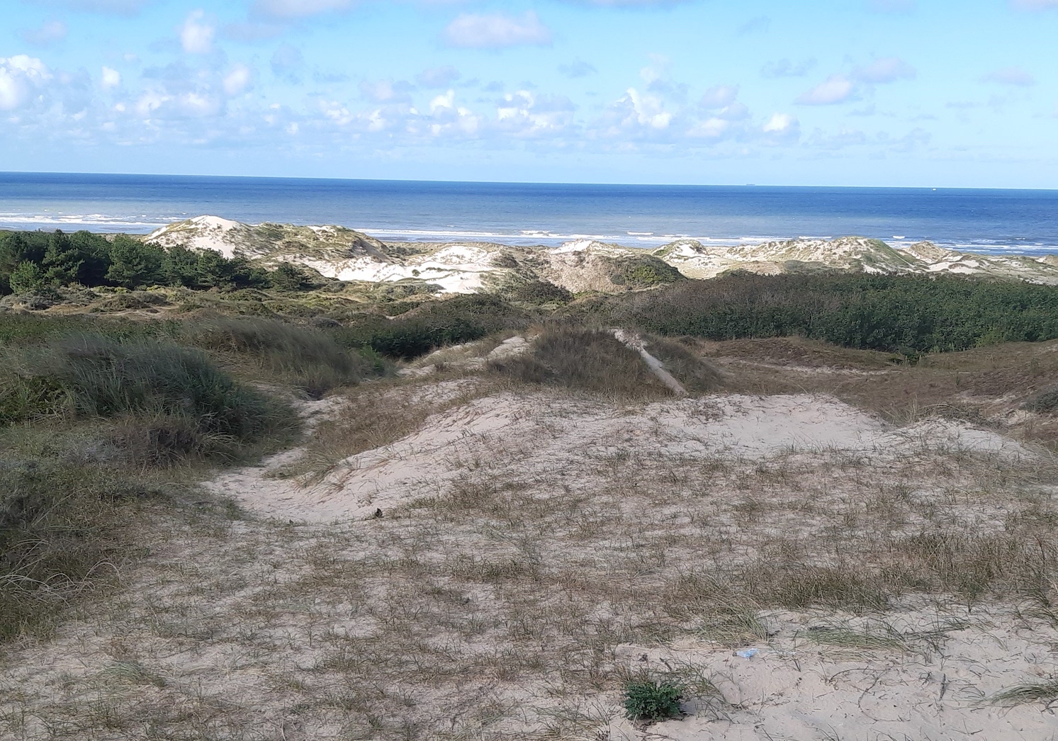 duinen bij Hardelot