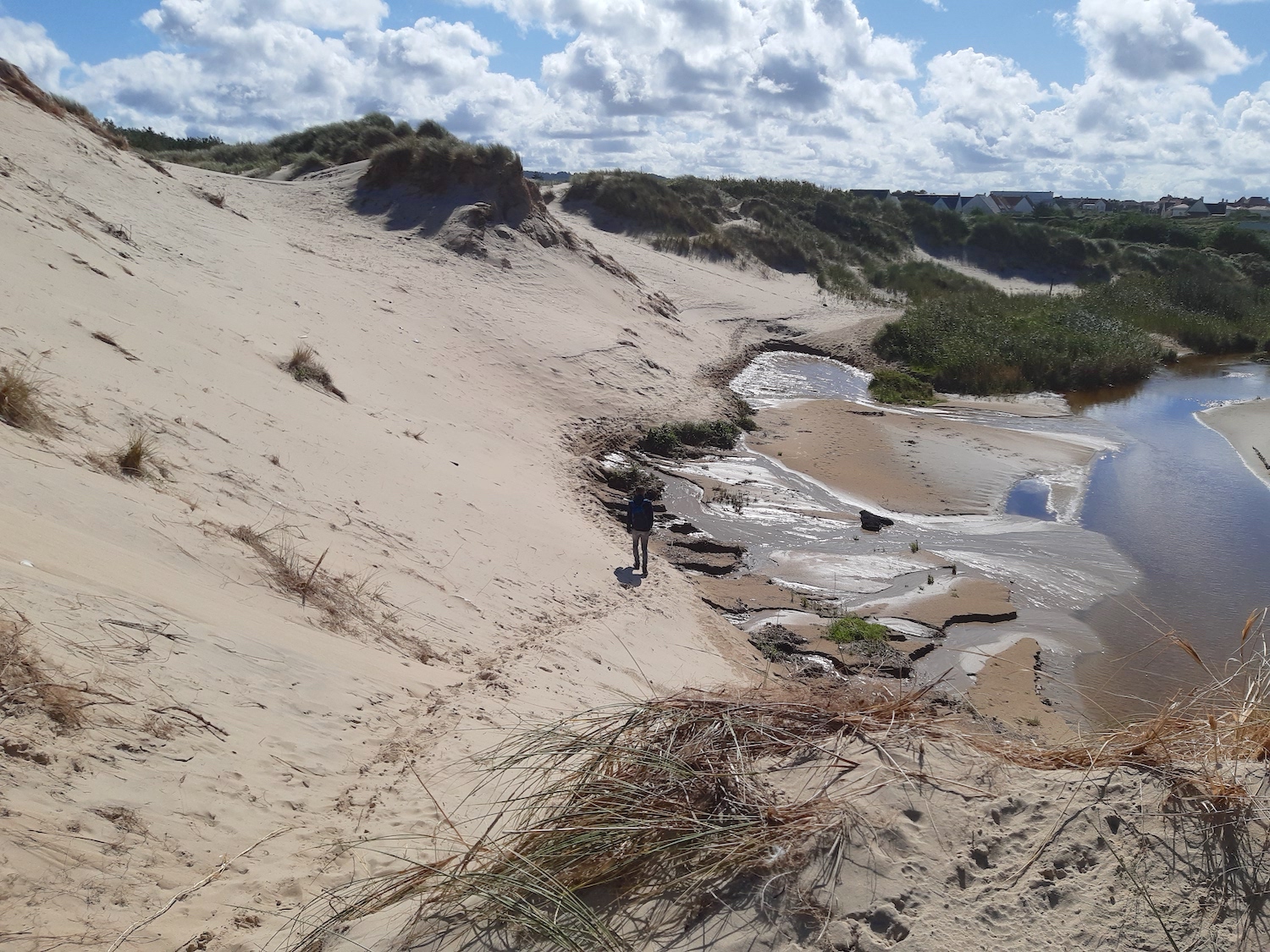 duinen bij Hardelot Opaalkust