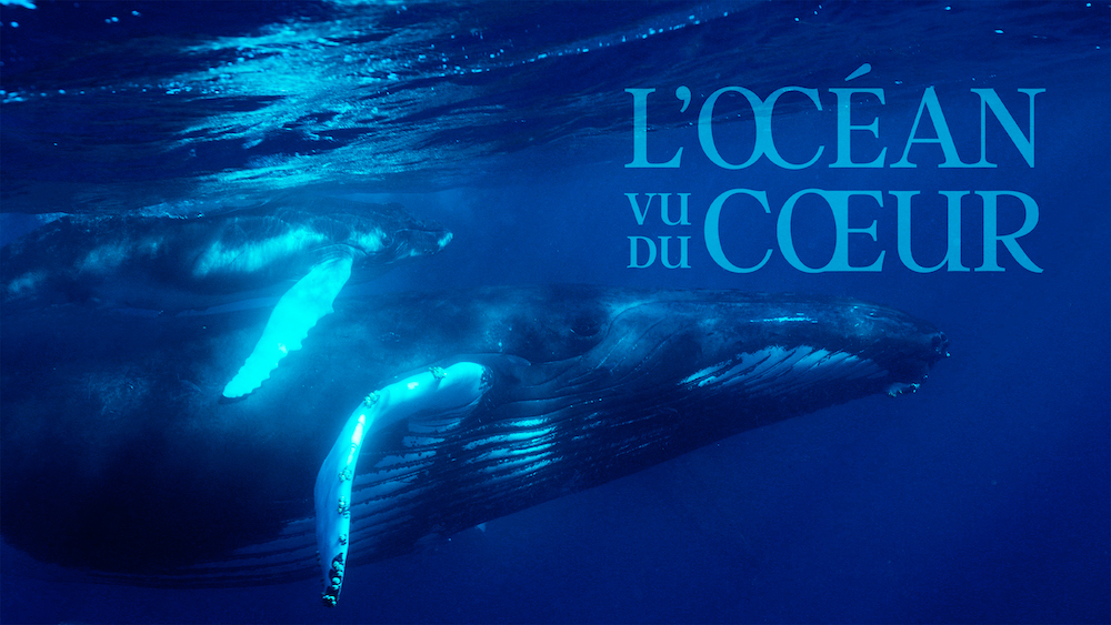 TV5 Wereld Oceanendag juni 2025