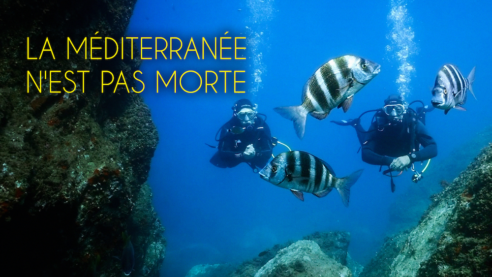 TV5 Wereld Oceanendag juni 2025