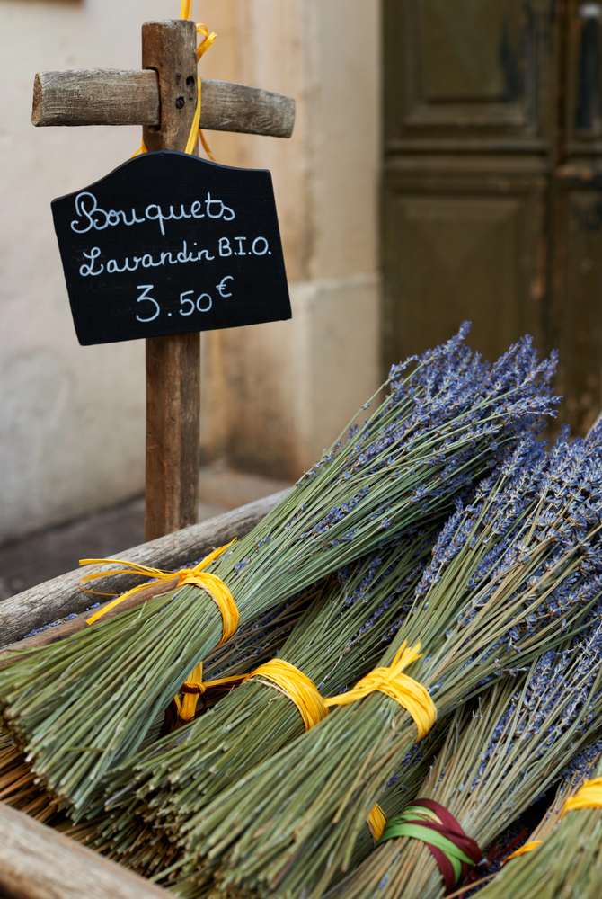Aix-en-Provence lavendel