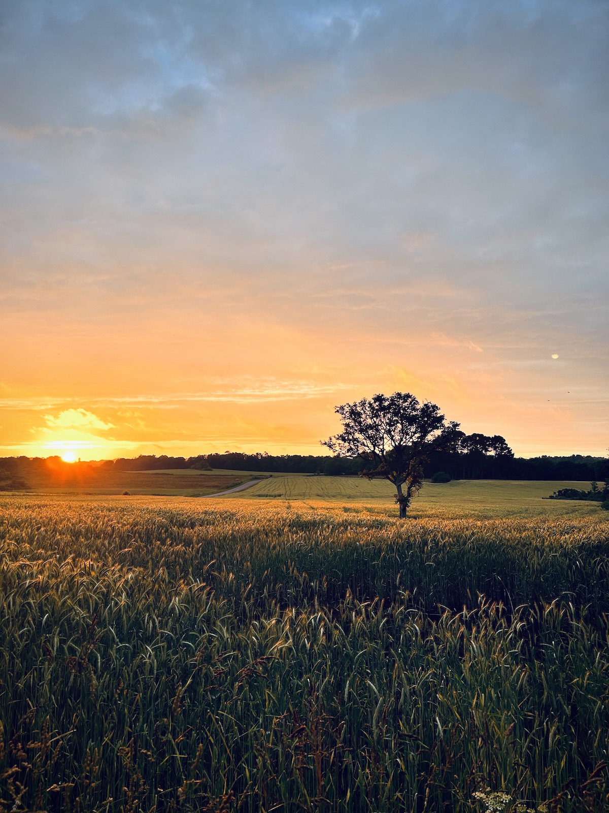 vakantie in Bretagne mooie landschappen