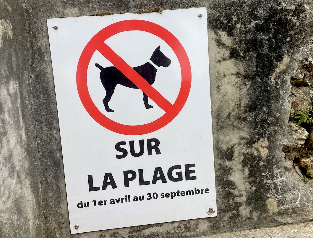 honden verboden op het strand in het hoogseizoen?