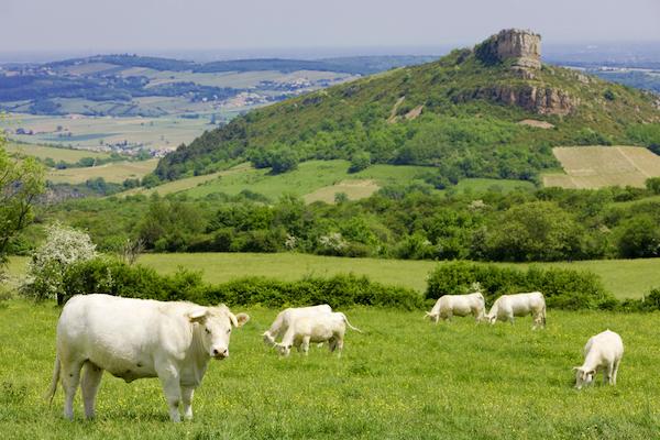 La Roche de Solutre, Bourgogne