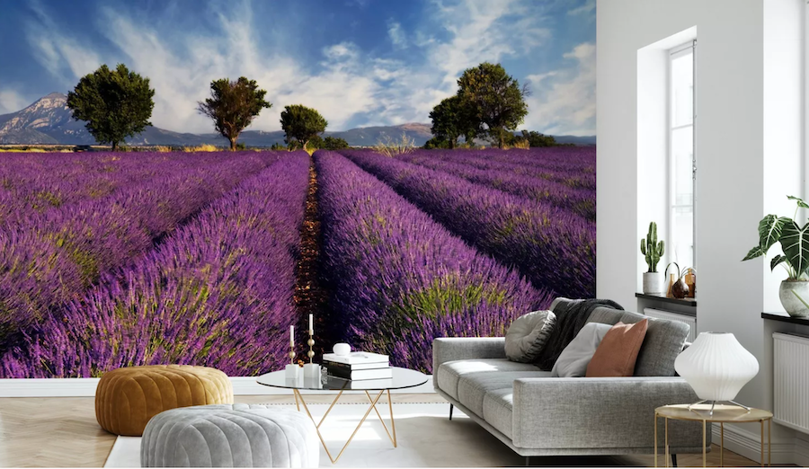 Frankrijk aan de muur - fotobehang