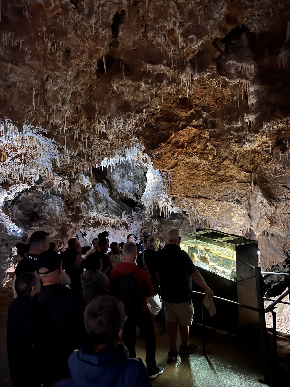 Grotte de Clamouse - Vallee de l'Hérault