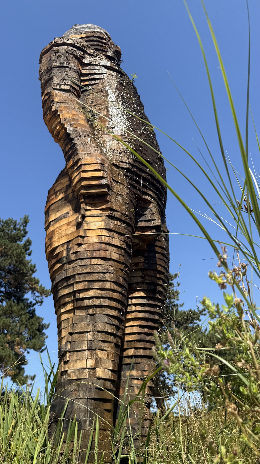 Nantes Jardin des Plantes