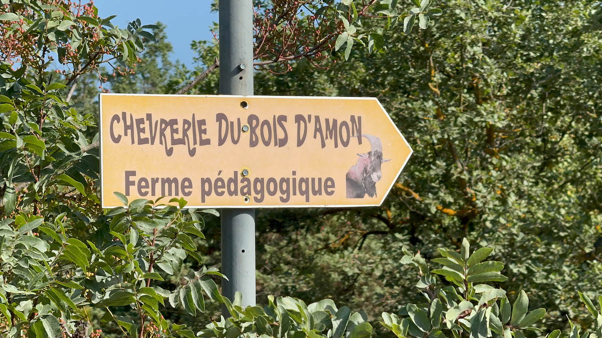 geitenboerderij in de Provence die je kunt bezoeken