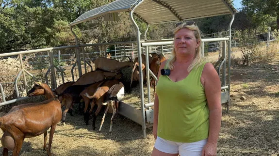 Belgische geitenboerin in de Provence