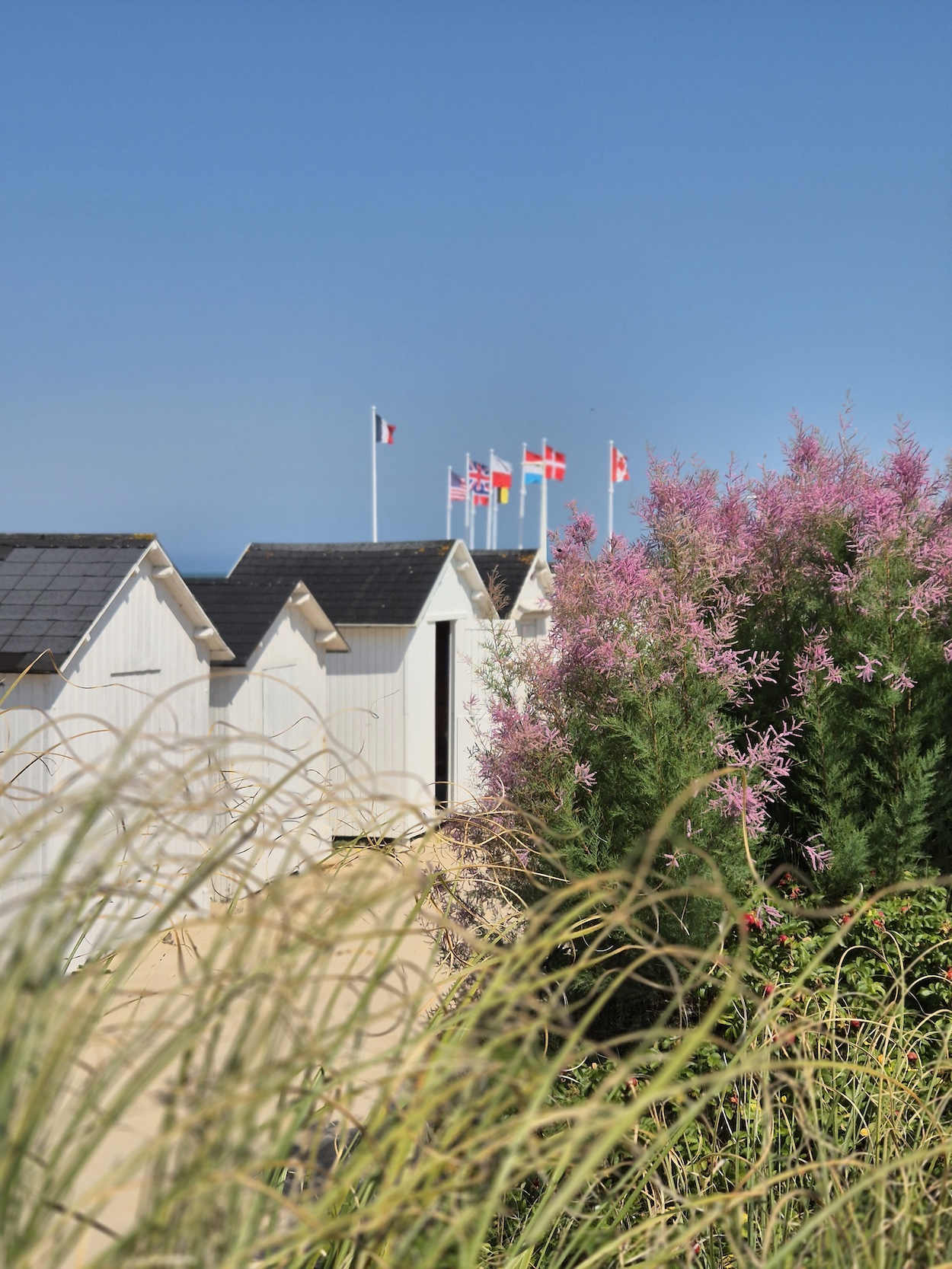 Cote de Nacre - Bernieres sur Mer
