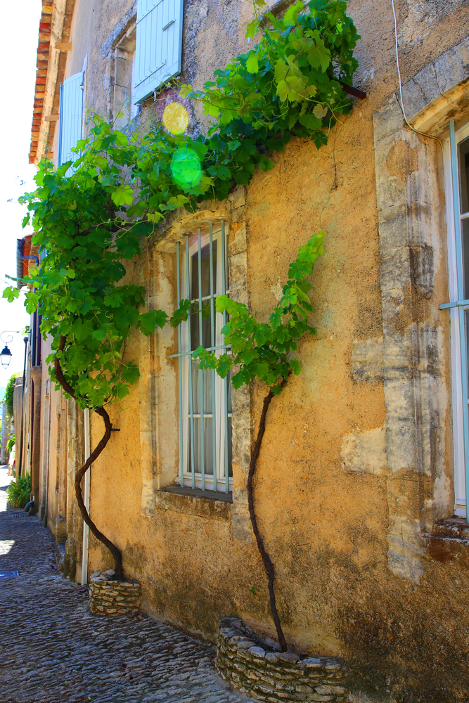Bonnieux