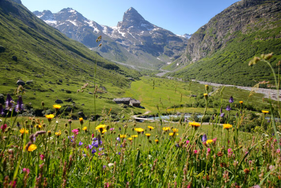 Wandelvakantie Franse Alpen