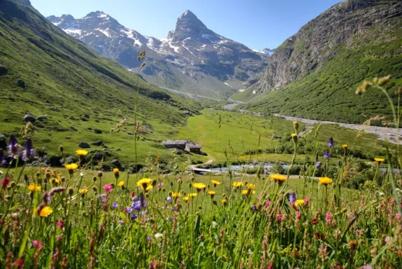 Wandelvakantie Franse Alpen