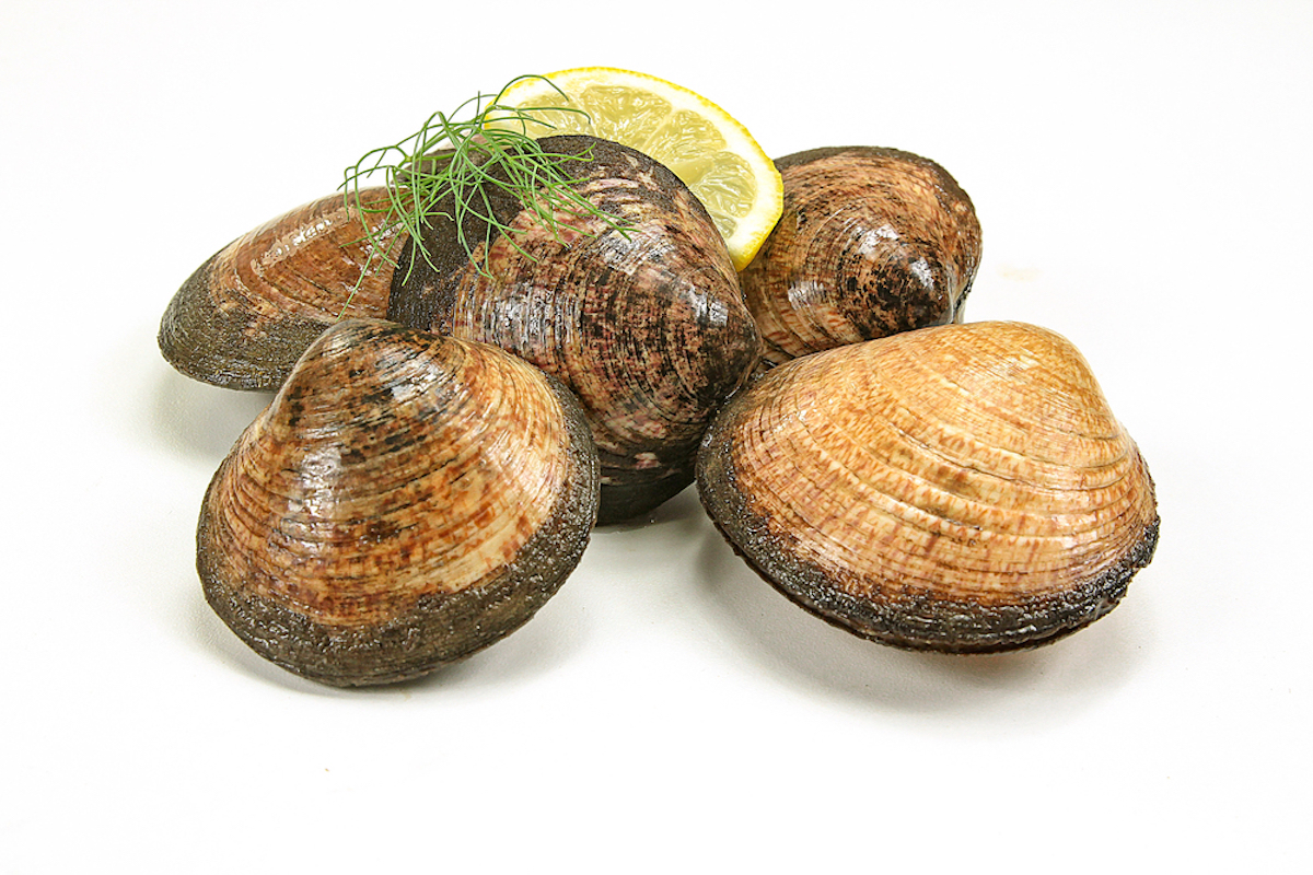 zee-amandel fruit de mer