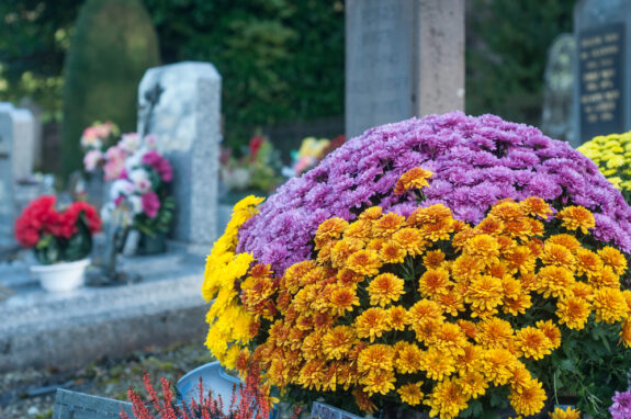 chrysanten Toussaint begraafplaats