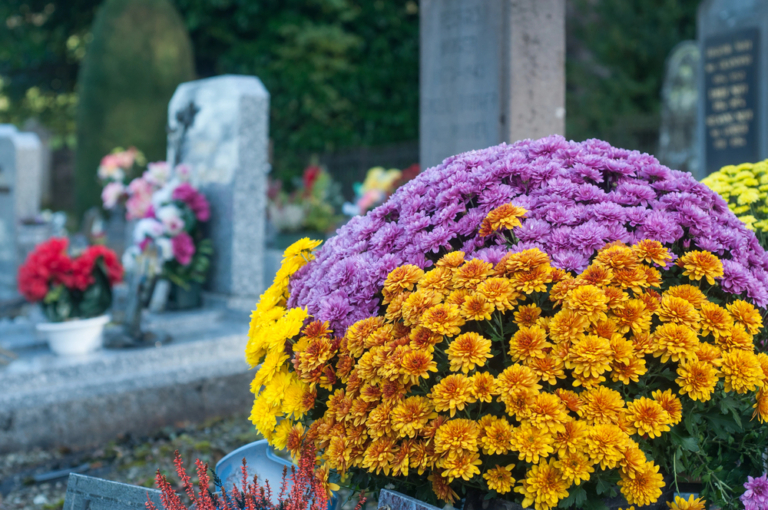 chrysanten Toussaint begraafplaats