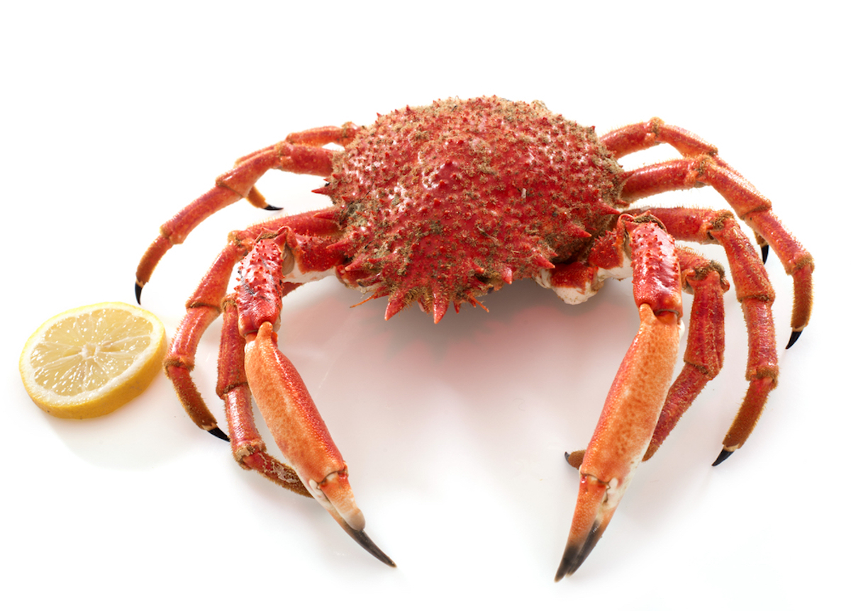 zeespin krab