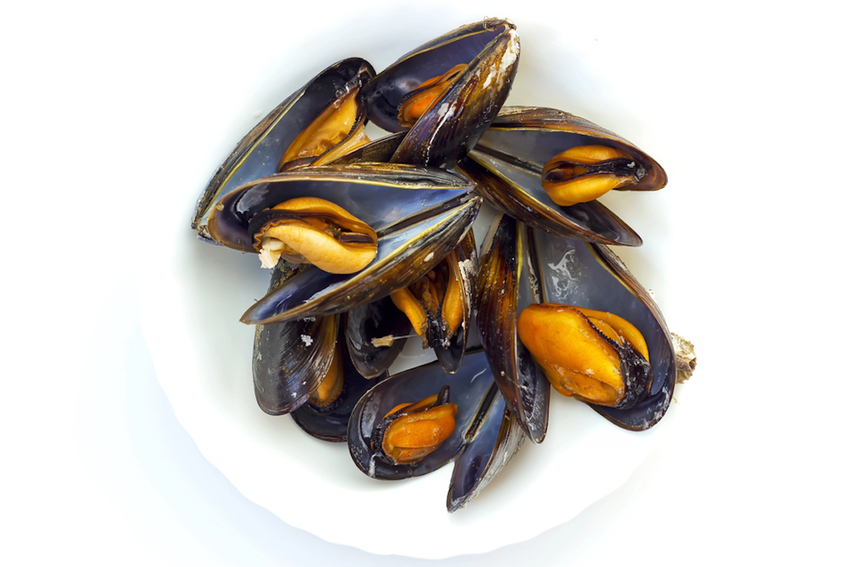 mosselen moules