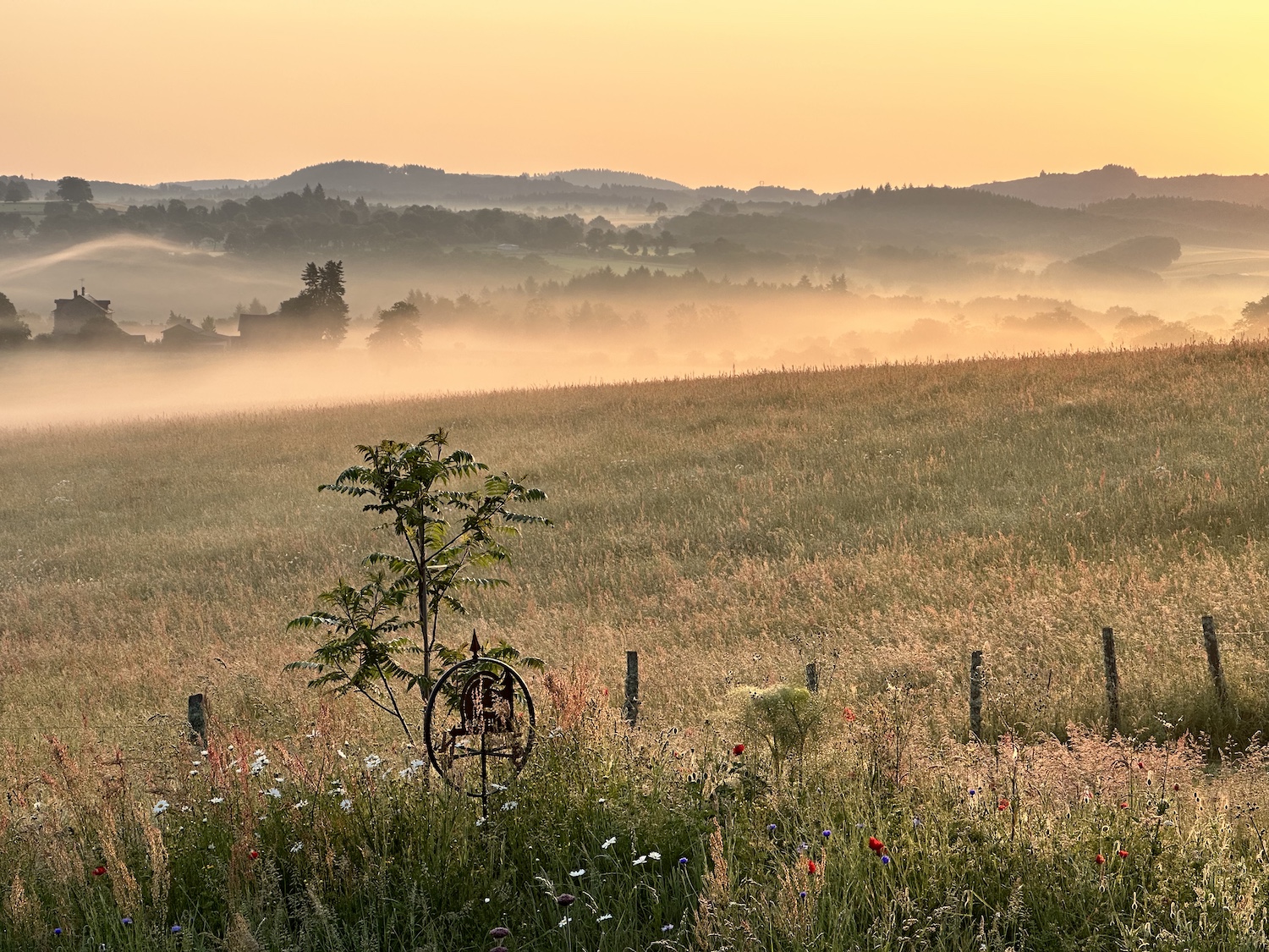 Le Veau Vert vakantiehuizen op het platteland in de Limousin