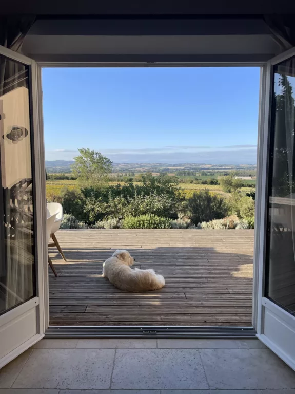 10x fijne vakantiehuizen in Zuid-Frankrijk