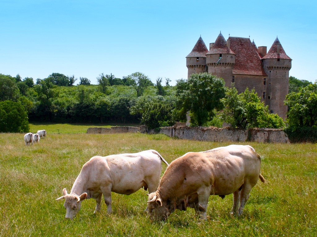 landelijke Berry omgeving