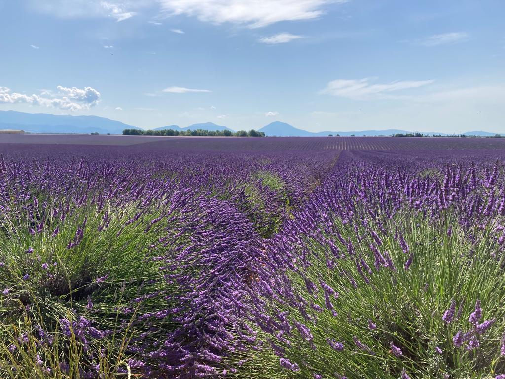 Domaine des Campeaux Logeren bij Belgen in de Provence