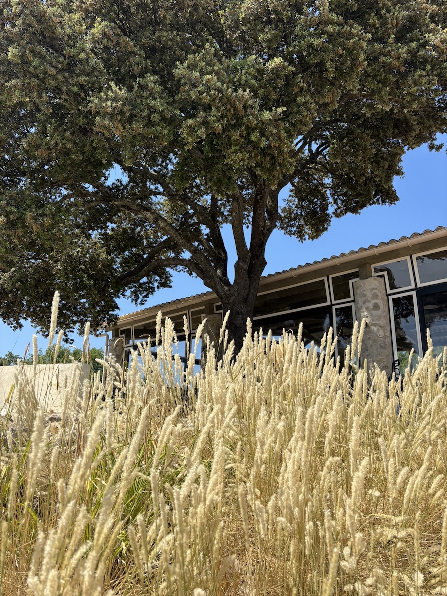 Domaine des Campeaux in Zuid-Frankrijk