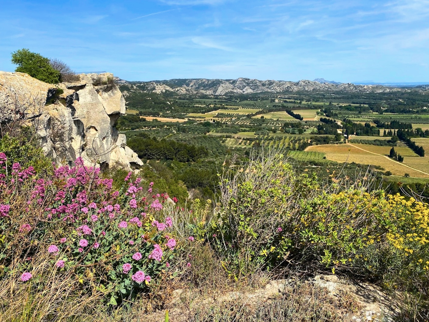Les Alpilles gebied in de Provence