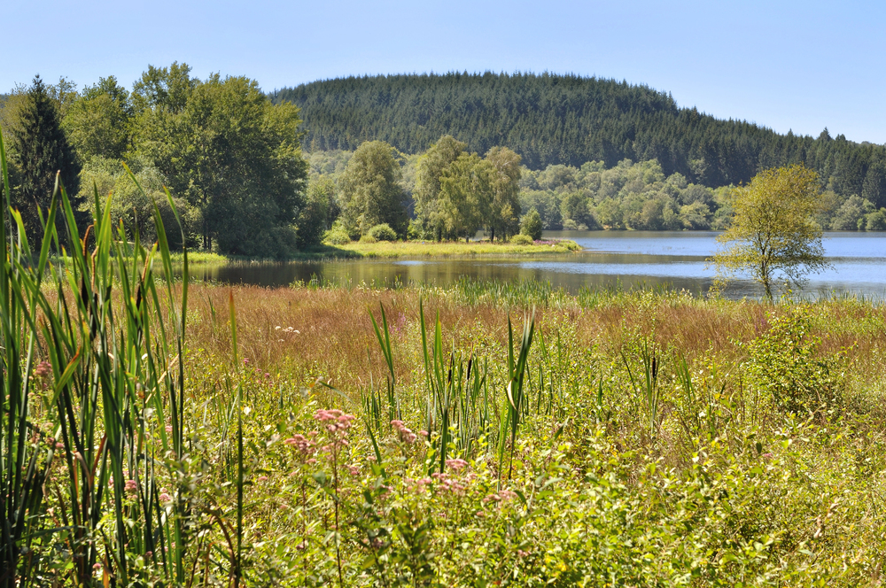 Morvan Bourgogne